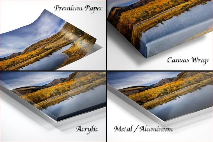The image is a collage of four different views of a landscape, including a reflection of the landscape in water and a close-up of the trees.