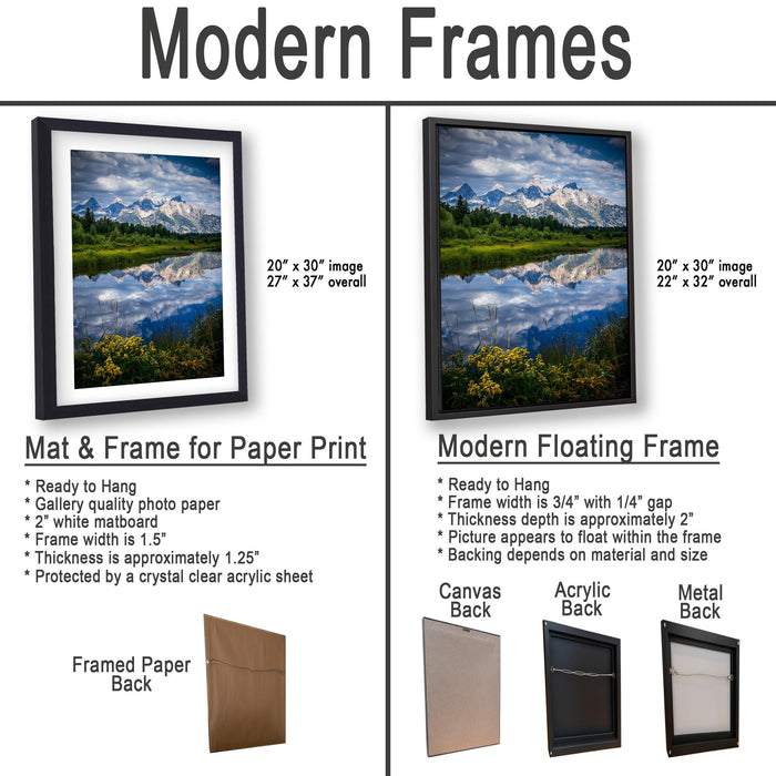 The image is a comparison of modern framed prints and modern floating frames for paper print photography. It displays two framed prints and two framed floating frames, each with different characteristics and features.