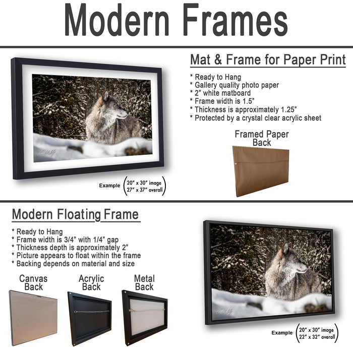The image is a comparison of modern framed art options for a paper print, including a mat and frame for a printed photo, a modern floating frame, and a framed paper back.