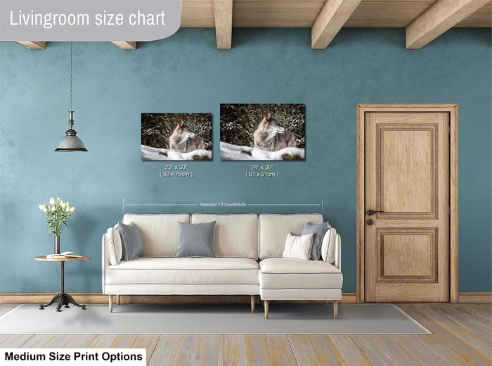 a living room with a white sofa, a wooden door, and a hanging light fixture. Above the sofa, there is a livingroom size chart indicating the dimensions of the two framed photographs hanging on the wall.