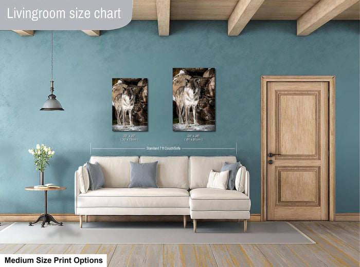 a living room with a white sofa, a wooden door, and a framed photograph of a wolf on the wall.