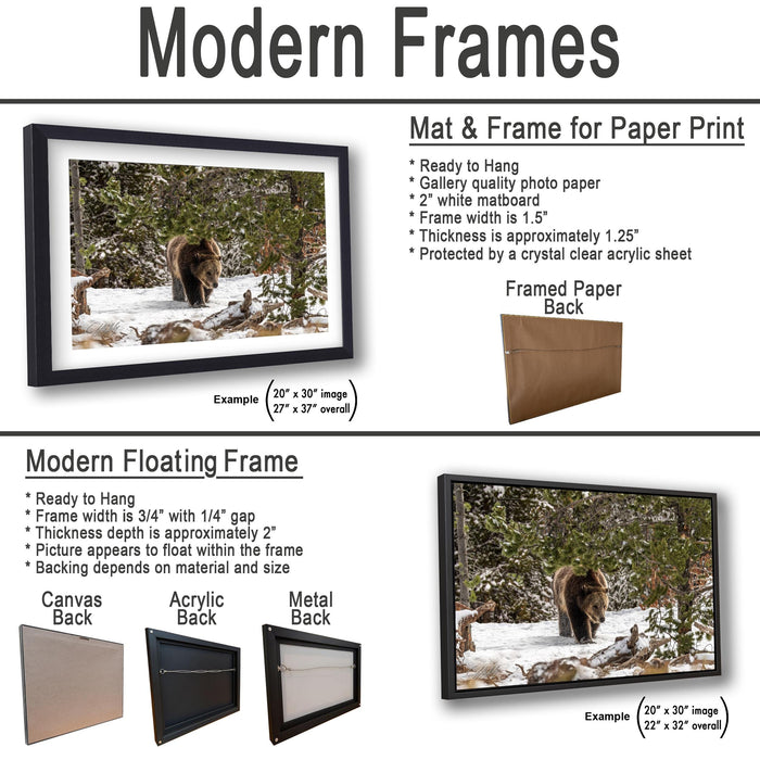 The image is a comparison of modern frames for different types of artwork, including a mat and frame for a printed photo, a modern floating frame, and a framed paper back.