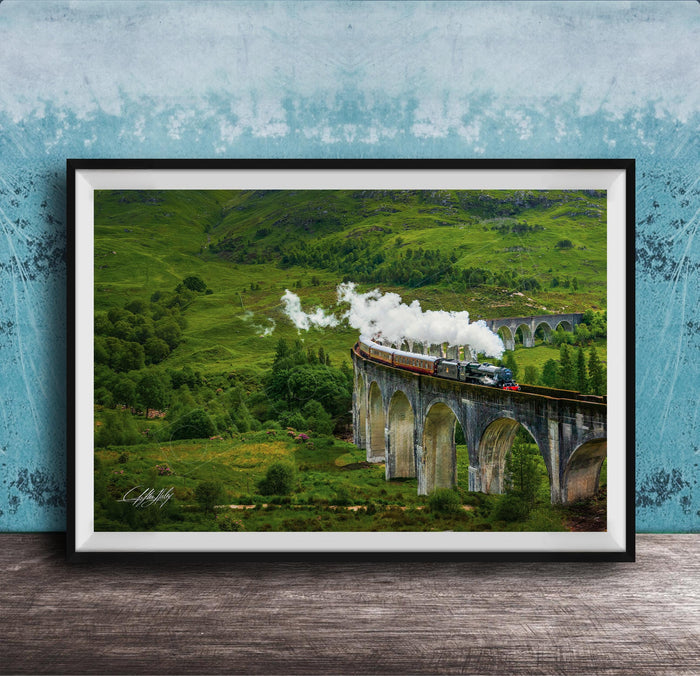 A framed photograph depicting a steam train traveling on a stone bridge over a lush, green valley.