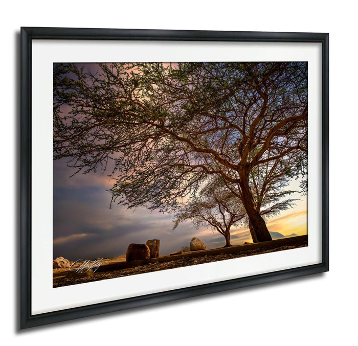 a serene landscape with a large tree in the foreground, its branches reaching out over a rocky terrain. The sky above is filled with clouds, creating a dramatic backdrop for the scene. The overall composition of the image is balanced and harmonious, with the tree and the rocky landscape forming a natural and visually appealing composition.