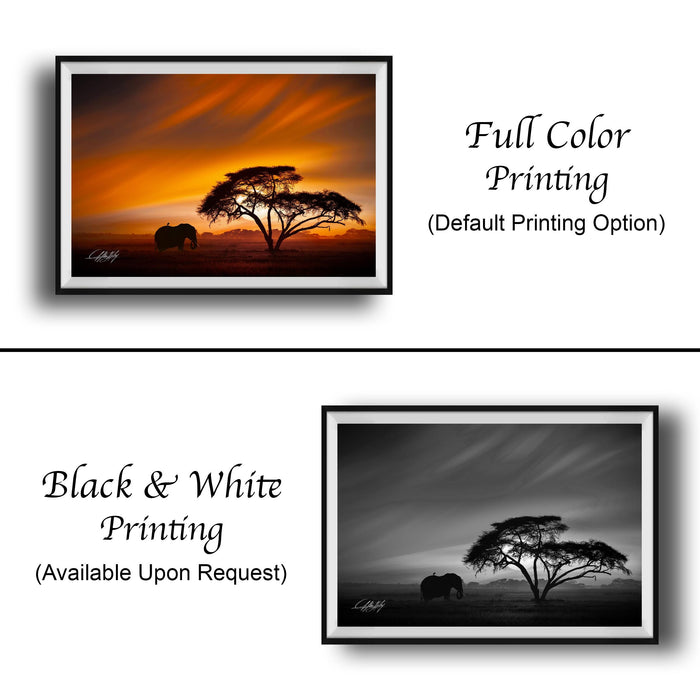 The image is a collage of two framed pictures. The top picture is a black and white photograph of a tree and an elephant, while the bottom picture is a full color photograph of the same scene. The bottom picture also includes a caption that reads "Full Color Printing (Default Printing Option)".