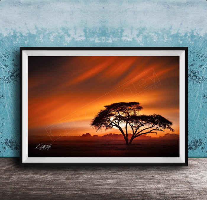 A framed photograph depicting a lone tree silhouetted against a vibrant sunset sky.