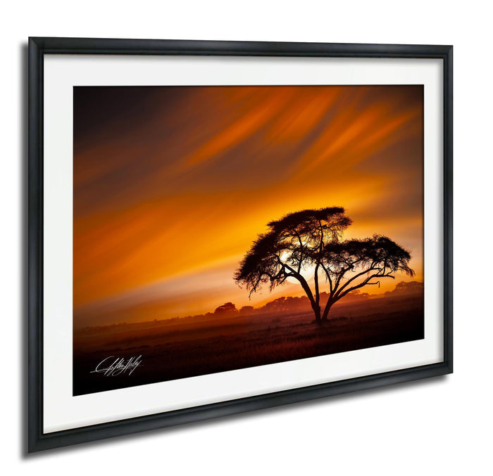 A framed photograph depicting a lone tree silhouetted against a vibrant sunset sky.