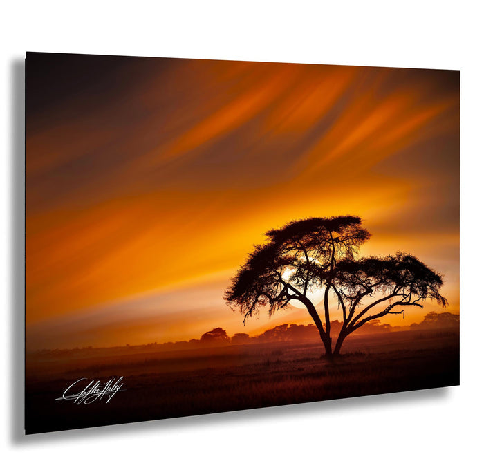 A lone tree silhouetted against a vibrant orange and yellow sunset sky, creating a serene and tranquil atmosphere.