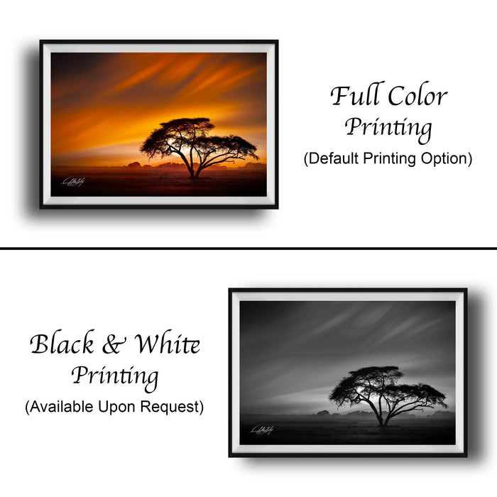 Kenya Wildlife Wall Art – Acacia Tree Silhouette & African Savannah Art Canvas Print