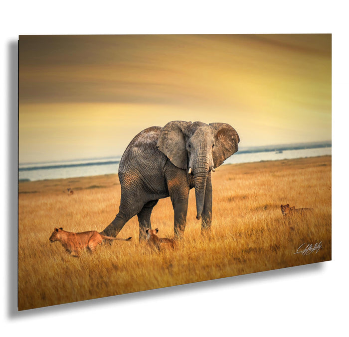 Kenya Wildlife Wall Art – Boho Elephant Battle Print | African Safari Decor Canvas 24x36