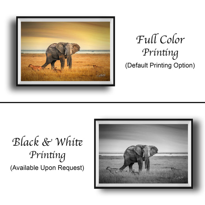 The image is a collage of two framed pictures. The top picture is a full color print of an elephant in a field, while the bottom picture is a black and white print of the same elephant. Both pictures are framed and displayed side by side.