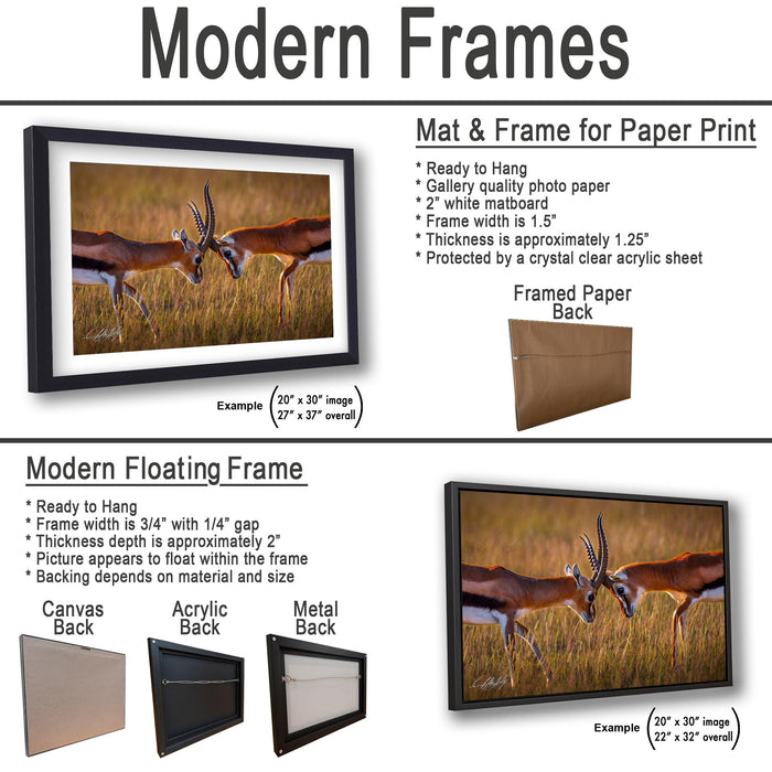 The image is a collage of three framed artworks, each with a different frame and backing material. The first frame is a mat and frame for a paper print, the second frame is a modern floating frame, and the third frame is a mat and frame for a printed back.