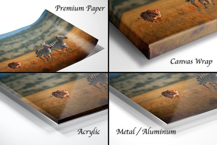 The image is a collage of four different views of a zebra in a field, each with a different material or finish, including "Premium Paper", "Canvas Wrap", "Acrylic", and "Metal/Aluminum".