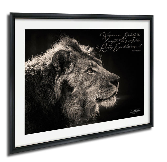 A black and white photograph of a majestic lion, with a quote from the Bible superimposed on the image.