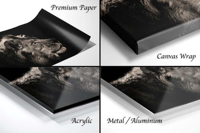 The image is a collage of four different views of a lion's face, each with a different finish or material. The lion's face is shown in three different ways: as a printed photograph on premium paper, as a canvas wrap, and as a metallic or aluminum finish.