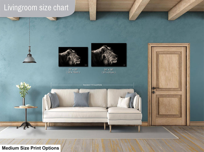 a living room with a white sofa, a wooden door, and a hanging light fixture. There are two framed black and white photographs of a lion's head hanging on the wall, and the wall has a blue color. The living room appears to be well-lit and spacious.