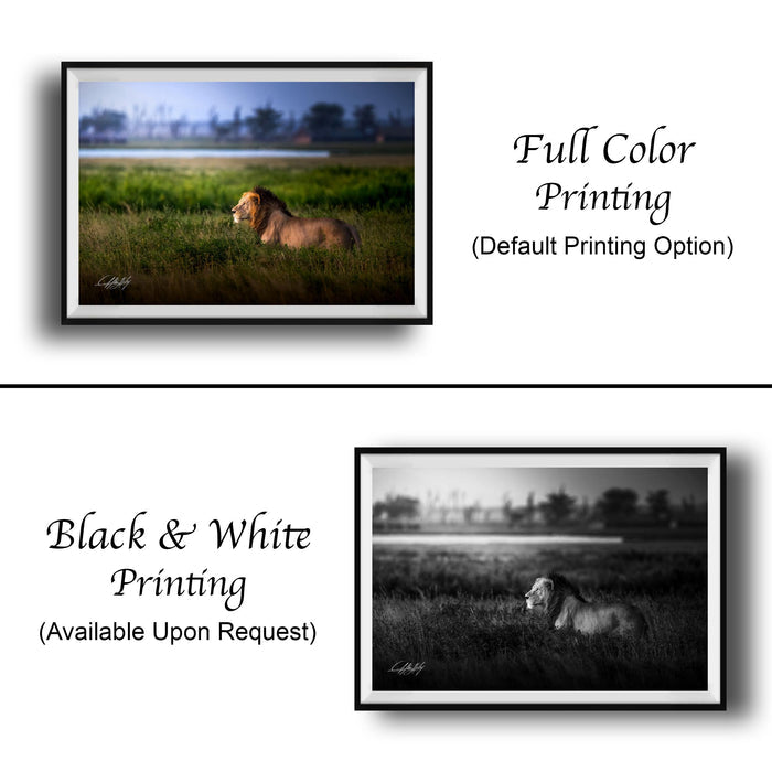 Lion Wildlife Wall Art | Maasai Mara Safari Boho Print Decor