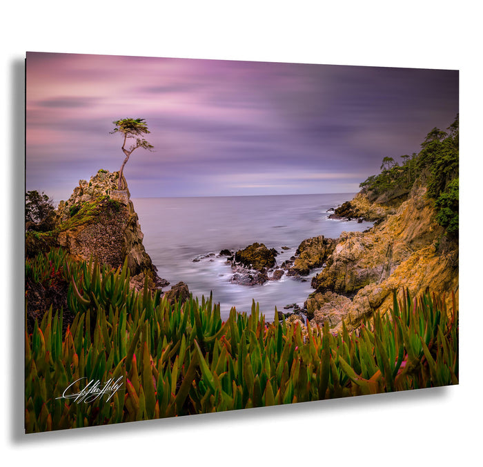 a serene coastal landscape with a lone tree on a rocky cliff overlooking the ocean. The sky is filled with clouds, creating a dramatic backdrop for the scene. The foreground is dominated by lush vegetation, adding a touch of green to the otherwise rocky and rugged terrain. The overall composition is visually appealing and evokes a sense of tranquility and natural beauty.