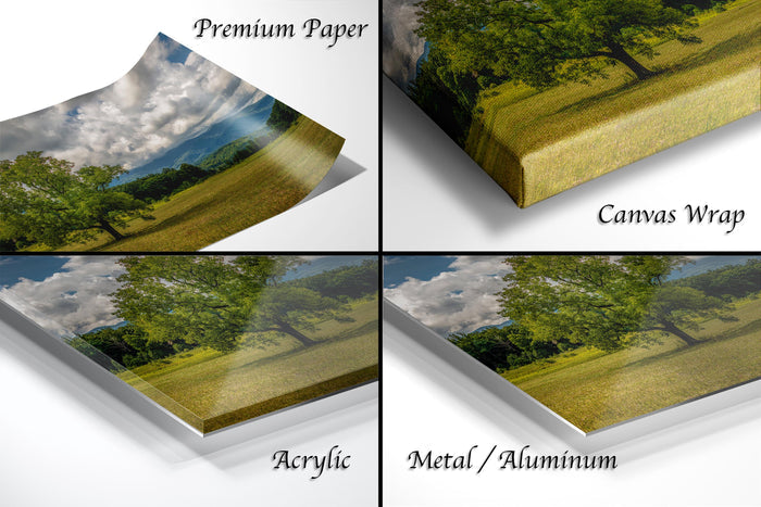 The image is a collage of four different images, each depicting a landscape scene with a tree and a field. The images are labeled as "Premium Paper", "Canvas Wrap", "Acrylic", and "Metal/Aluminum".