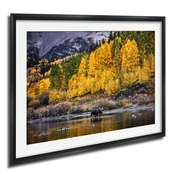 Maroon Bells Wall Art – Autumn Landscape Print with Bull Moose Canvas Decor