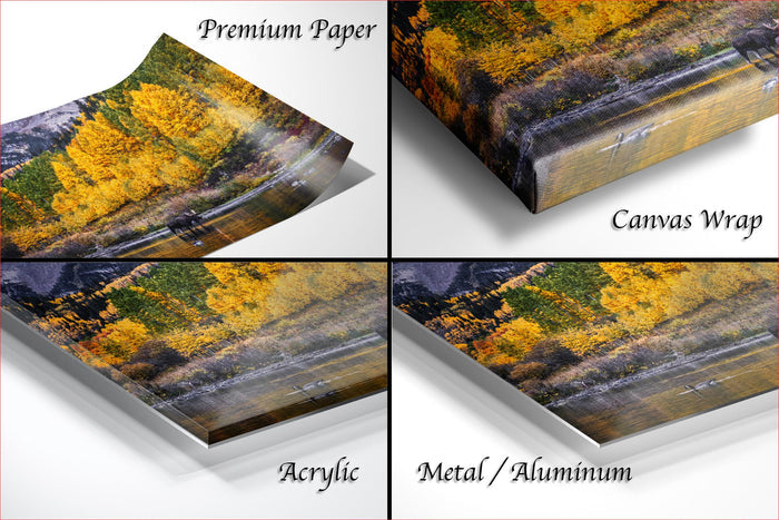 Maroon Bells Wall Art – Autumn Landscape Print with Bull Moose Canvas Decor