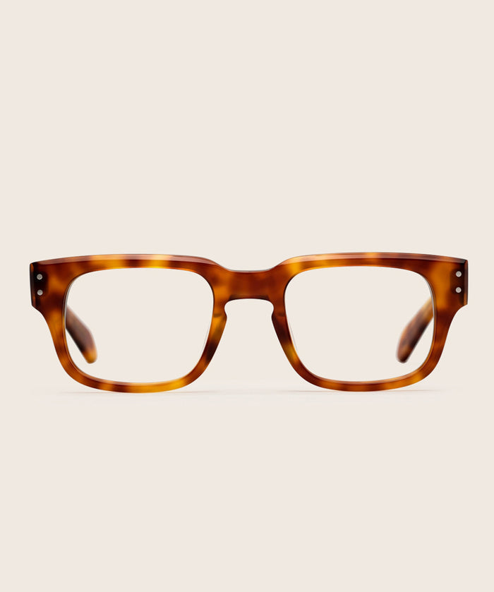 Vintage Tortoise