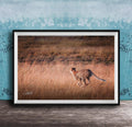 A cheetah is captured in mid-stride, running through a field of tall grass.