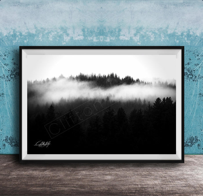 A black and white photograph of a forest landscape with misty mountains in the background.