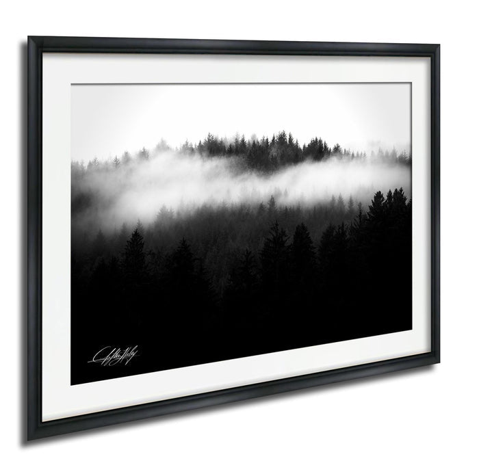 A black and white landscape photograph depicting a forested area with a misty, hazy atmosphere.