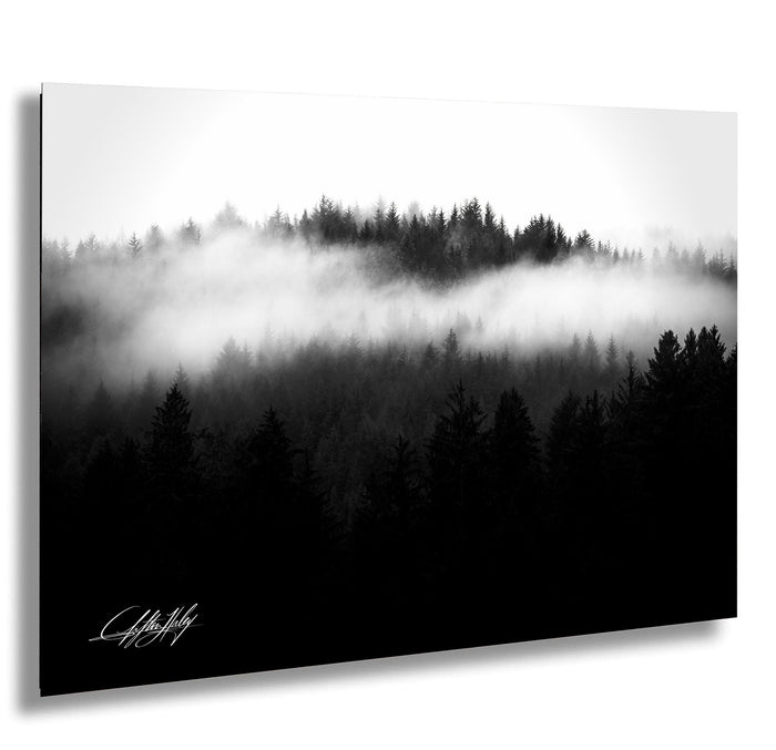 A black and white landscape photograph depicting a misty forest with a dense, dark forest in the background.