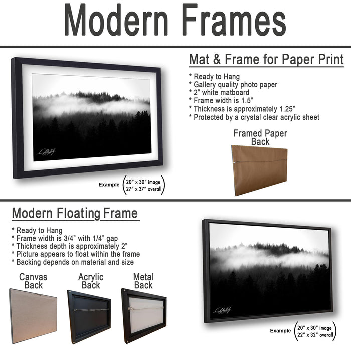 The image is a collection of framed artworks, including a mat and frame for a paper print, a modern floating frame, and a framed paper back. The artworks are displayed in various sizes and frame types, showcasing the versatility of these frames for different artistic presentations.