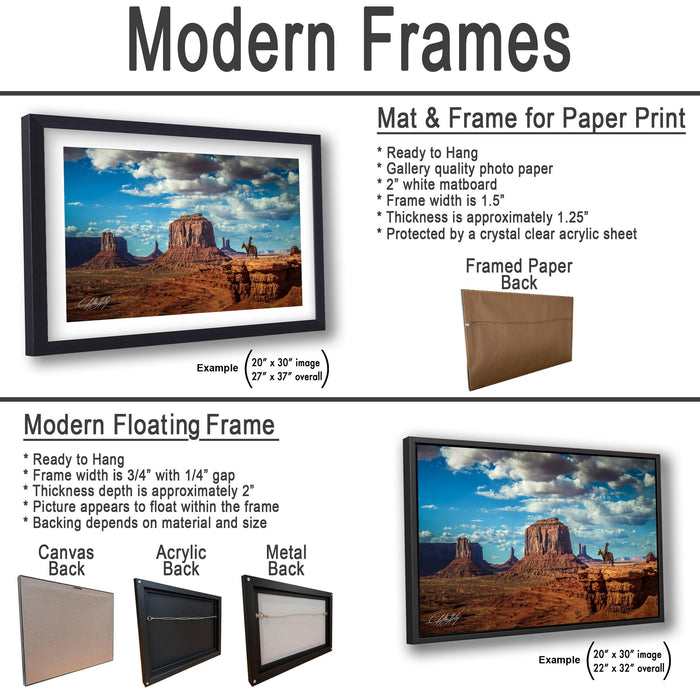 a picture of a picture of a desert with mountains in the background