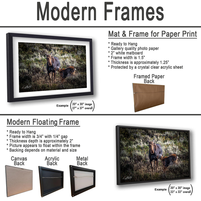 The image is a product advertisement for modern frames, showcasing different frame options for printing and displaying photographs.