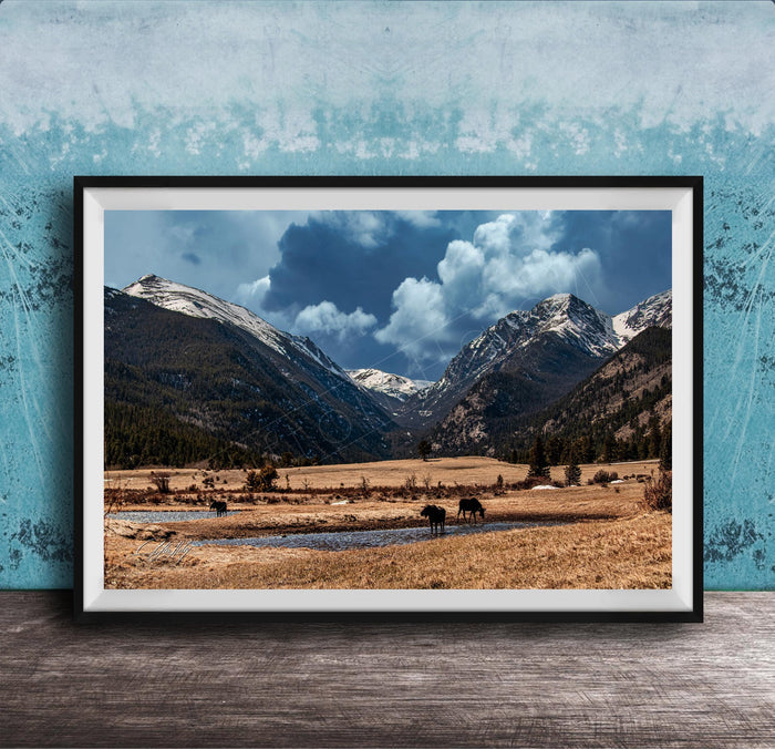 A framed photograph depicting a serene landscape with snow-capped mountains, a river, and grazing animals in a field.