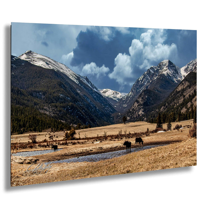 a serene landscape with a group of cows grazing in a field, surrounded by snow-capped mountains under a cloudy blue sky.