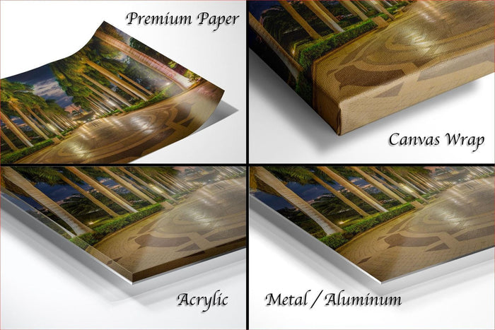 The image is a collage of four different views of a tropical landscape, including a palm tree-lined walkway, a wooden walkway, a wooden walkway with a palm tree, and a wooden walkway with a palm tree.