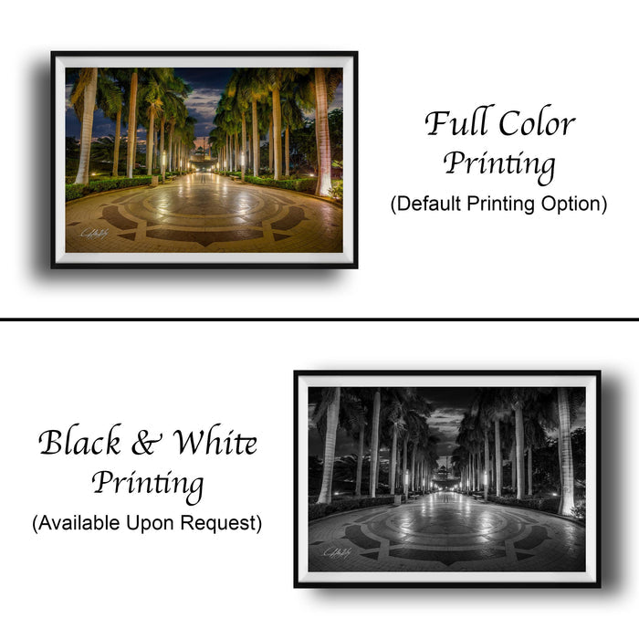 The image is a collage of two framed photographs. The top photograph is a full-color print of a palm tree-lined street at night, while the bottom photograph is a black and white print of the same street at night. Both photographs are framed and available upon request.