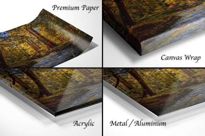 The image is a collage of four different types of print materials, including premium paper, canvas wrap, acrylic, and metal/aluminum.