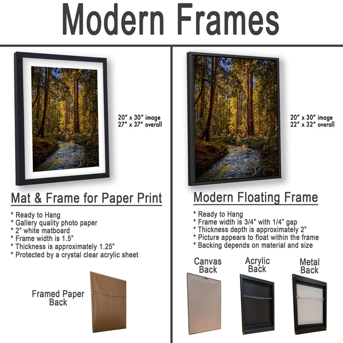 The image is a comparison of modern framed prints and modern floating frames for a forest scene. It displays two framed prints and two framed floating frames, each with different characteristics and materials.