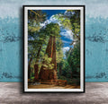 A large, towering redwood tree stands in a lush, verdant forest, its massive trunk and branches reaching towards the sky. The tree's reddish-brown bark contrasts with the surrounding greenery, creating a striking visual. In the foreground, a wooden bench invites visitors to sit and enjoy the serene natural setting. The image is framed, suggesting it is a piece of art or photography.