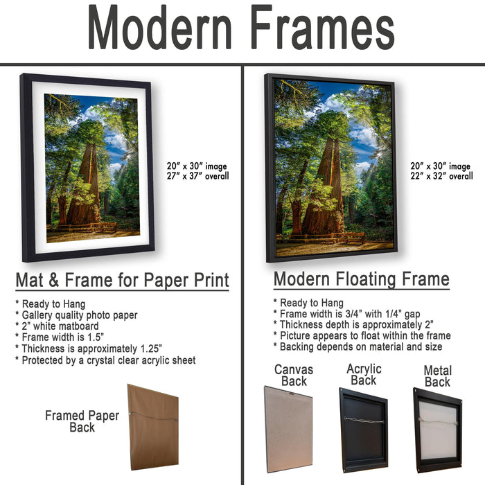 The image is a comparison of modern framed prints and modern floating frames for paper print photography. It displays two framed prints and two framed floating frames, each with different characteristics and features.