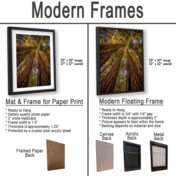 The image is a comparison of modern framed prints and modern floating frames for paper print photography. It displays two framed prints and two framed floating frames, each with different characteristics and features.