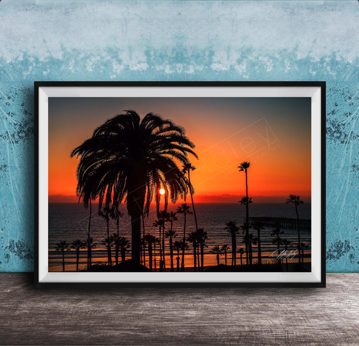 A framed photograph depicting a palm tree silhouetted against a vibrant sunset over the ocean.