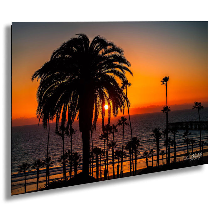 A silhouetted palm tree stands tall against a vibrant orange and yellow sunset over the ocean, with the sun setting behind the horizon.