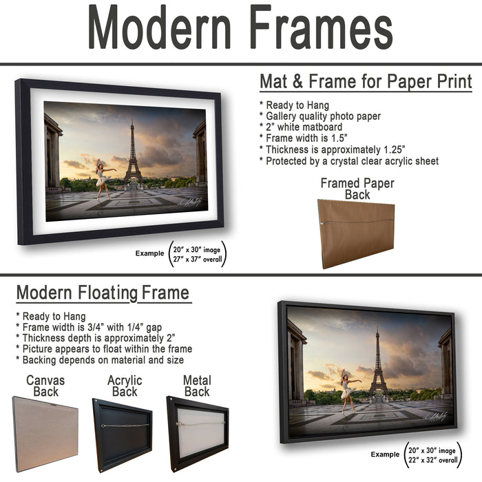 The image is a collage of two framed artworks, one of which is a mat and frame for a paper print, and the other is a modern floating frame. The mat and frame for a paper print is ready to hang, has a gallery quality photo paper, a white matboard, a frame width of 1½", and is protected by a crystal clear acrylic sheet. The modern floating frame has a frame width of 3½", a 1½" gap, and the picture appears to float within the frame. The backings for both artworks are acrylic and metal.