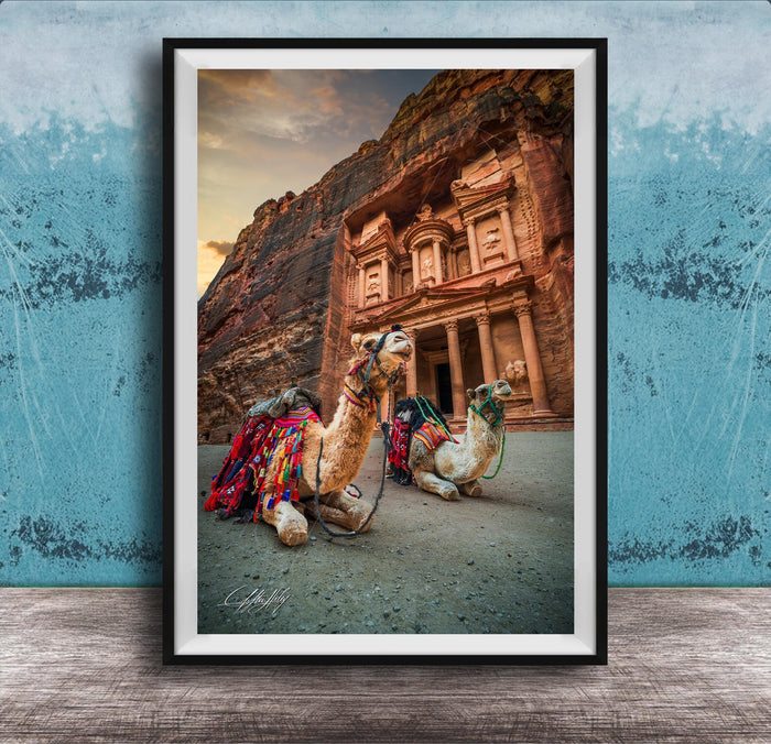 A framed photograph of two camels in front of a large, ancient building with a carved facade, set against a backdrop of a cloudy sky.