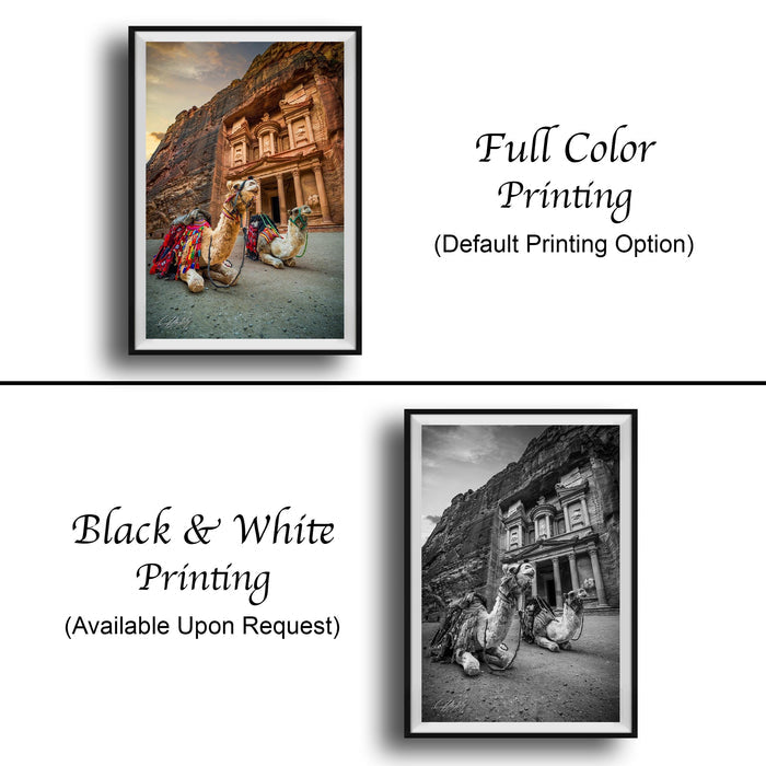 The image is a collage of two framed pictures. The left frame shows a camel and a building, while the right frame is a black and white photograph of a camel and a building. The text below the images indicates that the full color printing is available upon request, and the black and white version is also available.
