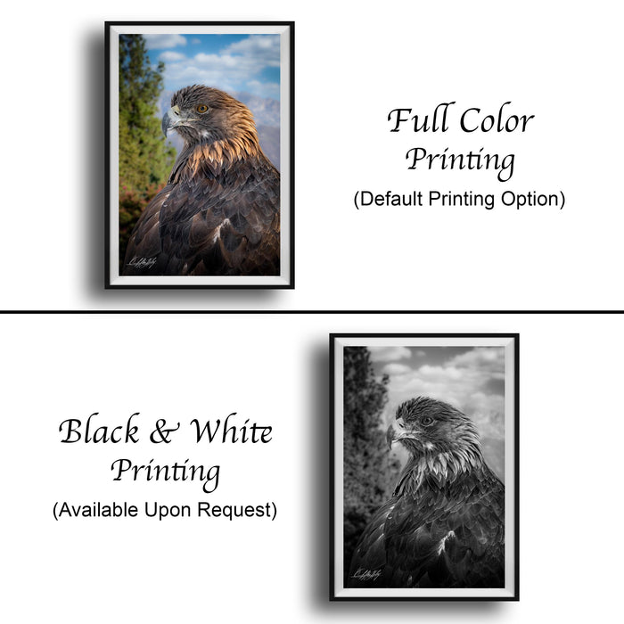 The image is a collage of two framed pictures. The top picture is a full color print of a bird, while the bottom picture is a black and white print of the same bird. Both pictures are framed and displayed side by side.