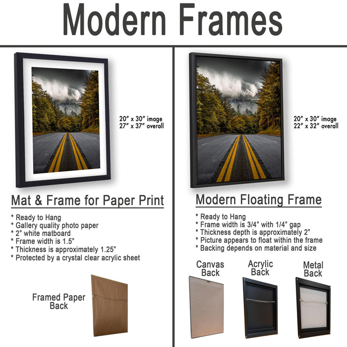 The image is a comparison of modern framed prints and modern floating frames for paper print photography. It displays two framed prints and two framed floating frames, each with different characteristics and features.