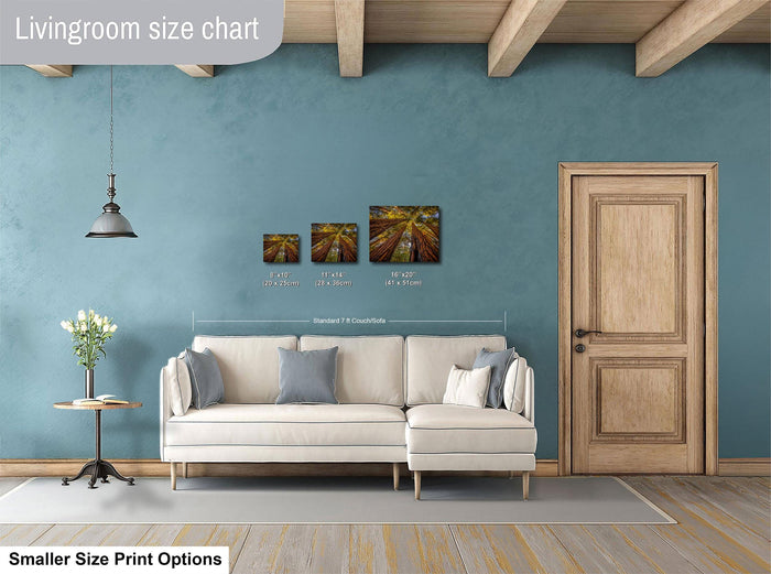 a living room with a white sofa, a wooden door, and a hanging light fixture. There are three framed artworks displayed on the wall, each with different sizes and dimensions. The living room appears to be well-decorated and spacious.